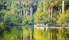 Soñando con una Navidad lluviosa, por Jonathan Watts