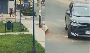 Santa Anita: conductores abandonan perrito en la calle al bajarlo de auto para que orine Santa Anita: conductores abandonan perrito en la calle al bajarlo de auto para que orine