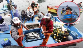 Oleajes: créditos de Produce en Perú dejarían fuera al 20% de pescadores artesanales