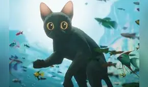 'Flow': dónde ver el filme ganador del Oscar 2025 como 'Mejor película animada'