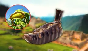 La fruta peruana con más de 11.000 años, que el inca Atahualpa regaló a Francisco Pizarro: tiene varios beneficios para la salud