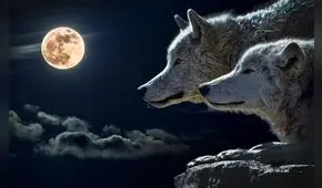 Luna de Lobo 2025: a qué hora y cómo ver la primera luna llena en el cielo desde Estados Unidos