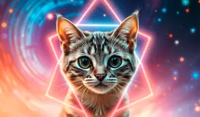 El gato de Schrödinger está en un chip cuántico donde se encuentra muerto y vivo al mismo tiempo