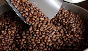 Producción de café peruano tuvo una fuerte caída del 9,65% en 2024: ¿a qué se debió?