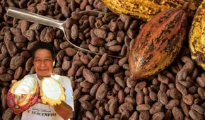 Exportaciones de cacao peruano se dispararon a US$ 1.300 millones en 2024