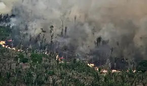 "Un año atípico y alarmante": incendios en Brasil devastaron 30,8 millones de hectáreas en 2024, alerta informe "Un año atípico y alarmante": incendios en Brasil devastaron 30,8 millones de hectáreas en 2024, alerta informe