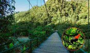 No es Machu Picchu ni el volcán Misti: este impresionante lugar en Perú busca ser reconocido mundialmente, así puedes votar