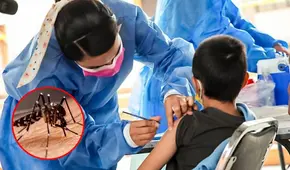 Vacunación contra el dengue no llega ni al 32% en cuatro regiones: ¿qué está pasando?