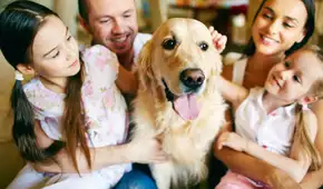 Familia de EE. UU. se muda a España y descubre una diferencia cultural sobre la presión social Familia de EE. UU. se muda a España y descubre una diferencia cultural sobre la presión social