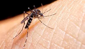 El médico cubano que transformó la salud pública en EE. UU.: descubrió el mosquito que transmite la fiebre amarilla