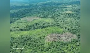 Líderes indígenas exigen al Mincul creación de la Reserva Yavarí Mirim
