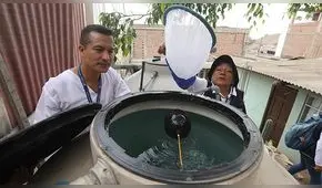 Dengue: Refuerzan las acciones para prevenir la enfermedad y combatir al mosquito