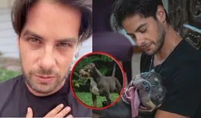 Andrés Wiese sufre por su perrita Menta tras recibir diagnóstico de cáncer: "Estoy hecho un mar de lágrimas"