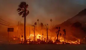 Ciudadanos de Los Ángeles podrán pausar el pago de sus impuestos debido a los incendios en California en este 2025