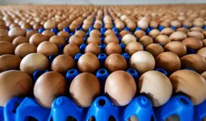 ¿Por qué hay escasez de huevos en Estados Unidos? Esta sería la razón de la baja producción y alza de precios