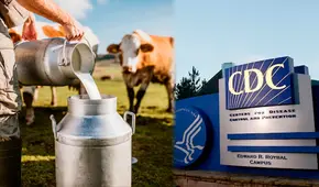 Nueva variante de gripe aviar en Estados Unidos: trabajador de una granja lechera fue infectado en Nevada, según CDC