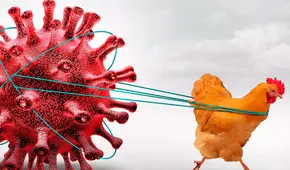 Influenza en Estados Unidos: los casos de fallecimiento superan las cifras del COVID-19 desde la pandemia