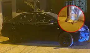 Balacera en SJM: más de 20 disparos contra auto deja dos muertos por presunta disputa de bandas proxenetas Balacera en SJM: más de 20 disparos contra auto deja dos muertos por presunta disputa de bandas proxenetas