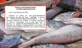 Produce establece veda reproductiva para el recurso merluza: ¿por cuánto tiempo y quiénes son la excepción?