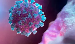Científicos descubren en murciélagos de China un nuevo virus parecido al coronavirus que infectaría a humanos