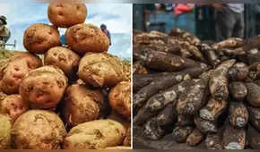 No es ni la yuca ni la papa: el tubérculo que fortalece la memoria y casi nadie consume, ¿cómo incluirlo en tu dieta?