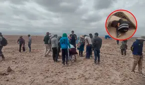 Balacera deja tres muertos y cuatro heridos por disputa de terrenos en Arequipa