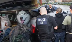 Mucha atención, inmigrante: ¿qué hacer con las mascotas si eres indocumentado y te deportan de Estados Unidos?