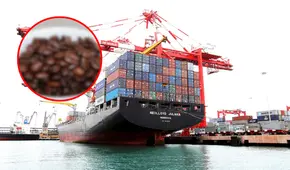 Este país de Sudamérica se convirtió en el noveno exportador mundial de café por US$1.103 millones: le vende a Estados Unidos y Europa