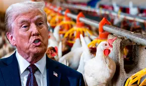 ¿El precio de los huevos subirá 41% este 2025? Esto pasaría tras presentarse el plan de Trump contra la gripe aviar, según USDA