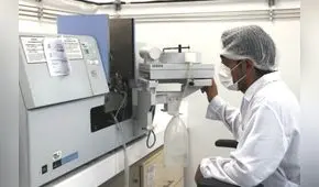 Zancudos de laboratorio evitarán aumento de dengue