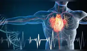 Dulce riesgo: Edulcorantes y enfermedad cardiovascular, por Percy Mayta-Tristán