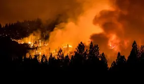 Qué medidas debo tomar si fui afectado por los incendios forestales de 'las Carolinas' de Estados Unidos