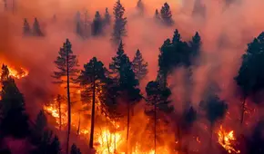 Estado de emergencia en Carolina del Sur: incendios forestales en las Carolinas y Georgia obligan a residentes a huir de sus casas