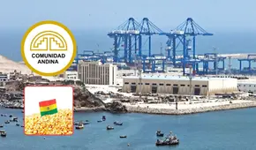 Bolivia debe buscar facilidades aduaneras para exportar sus productos por el Puerto de Chancay, según experto de ese país