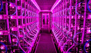 Este país de Europa creó una 'granja futurista' en la que cultivan diminutos y antiguos organismos acuáticos