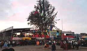 Varón sobrevive tras ser aplastado por árbol de yunzada en Arequipa