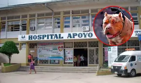 Docente pierde la mitad del cuero cabelludo tras ataque de pitbull y queda en UCI: intentaron sobornarla para que no denuncie