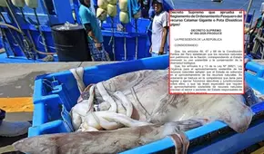 Produce actualiza reglamento de la pota para proteger el recurso y fortalecer a pescadores artesanales