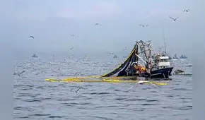 Ley de Extinción de Dominio: pescadores industriales anuncian marcha al Congreso