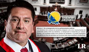 Acción Popular propone ley para que los miembros del Parlamento Andino sean elegidos en el Congreso bicameral