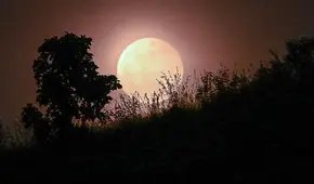 ¿A qué hora comienza el eclipse en Nicaragua 2025? Revisa cuándo y dónde ver la luna de sangre el 14 de marzo