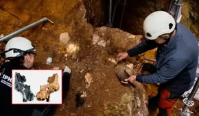 Hallan el rostro humano más antiguo de Europa occidental: tiene 1.4 millones de años y desafía teorías sobre los primeros homínidos
