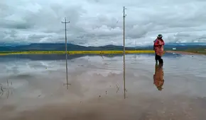 Gobierno aún no declara en emergencia cinco distritos de Puno por desborde de ríos