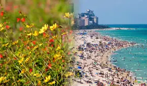 Primavera en Florida 2025: todo lo que necesitas saber sobre el equinoccio de marzo y el cambio de temperatura