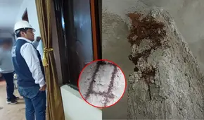 Ingeniero civil visitó casa de 3 pisos en Lima y descubre terribles errores de construcción: "Le han robado cemento"