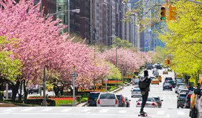 Se acabó el invierno en Nueva York: ¿cuándo empieza el primer día de primavera este 2025?