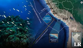 Dorsal de Nasca: Día decisivo para el futuro de las Áreas Protegidas en el Perú