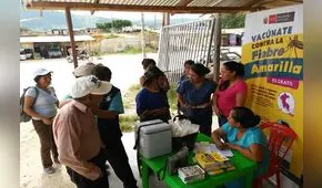 Minsa lanza alerta por aumento de casos de fiebre amarilla en zonas de Amazonas, Huánuco y San Martín