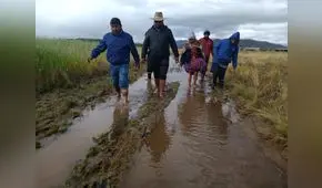 Puno: lluvias inundan pueblos y arrasan viviendas, colegios y sembríos