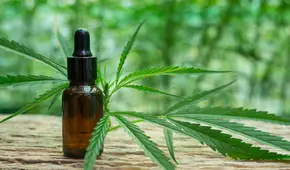 Aviso importante en Nueva York: Kathy Hochul firma 2 leyes para expandir el mercado agrícola de cannabis en el estado